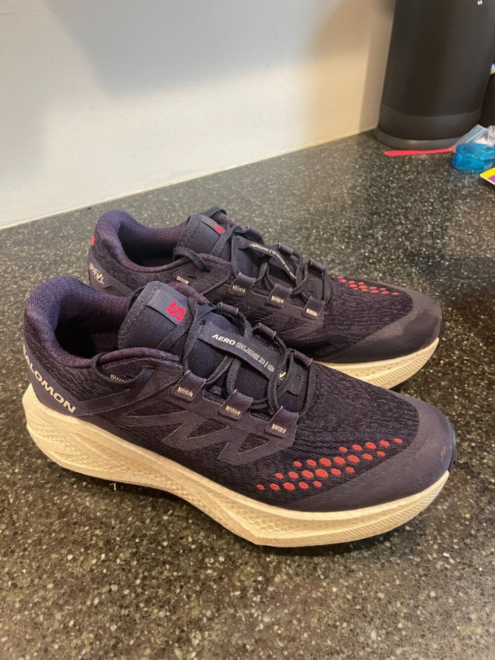 Salomon AeroGlide 3 GRVL - Men's 9